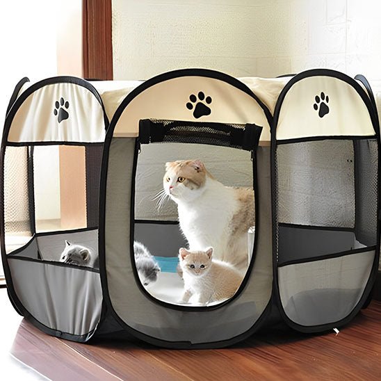 Parc pour chat - TENTE PLIABLE™ - Animal en folie