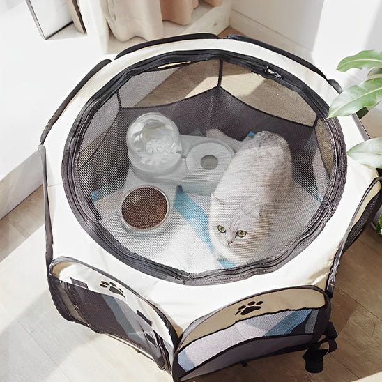 Parc pour chat - TENTE PLIABLE™ - Animal en folie